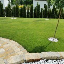 Snelkiemend Power Graszaad Voor 250m² Gras | Hoge Kwaliteit Gras Voor Een Snel Groeiend Meerjarig Gazon -Tuinverzorgings Winkel 1200x1200 1480