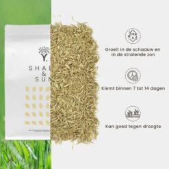 Schaduw Graszaad Voor 100m² Gras | Voor Een Gazon Met Veel Schaduw | Hitte & Droogte Resistent 4 Schaduw Graszaad Voor 100m² Gras | Voor Een Gazon Met Veel Schaduw | Hitte & Droogte Resistent -Tuinverzorgings Winkel 1200x1200 1485