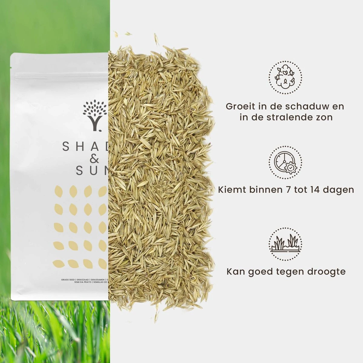 Schaduw Graszaad voor 100m² Gras | Voor een Gazon met Veel Schaduw | Hitte & Droogte Resistent Schaduw Graszaad Voor 100m² Gras | Voor Een Gazon Met Veel Schaduw | Hitte & Droogte Resistent -Tuinverzorgings Winkel 1200x1200 1485