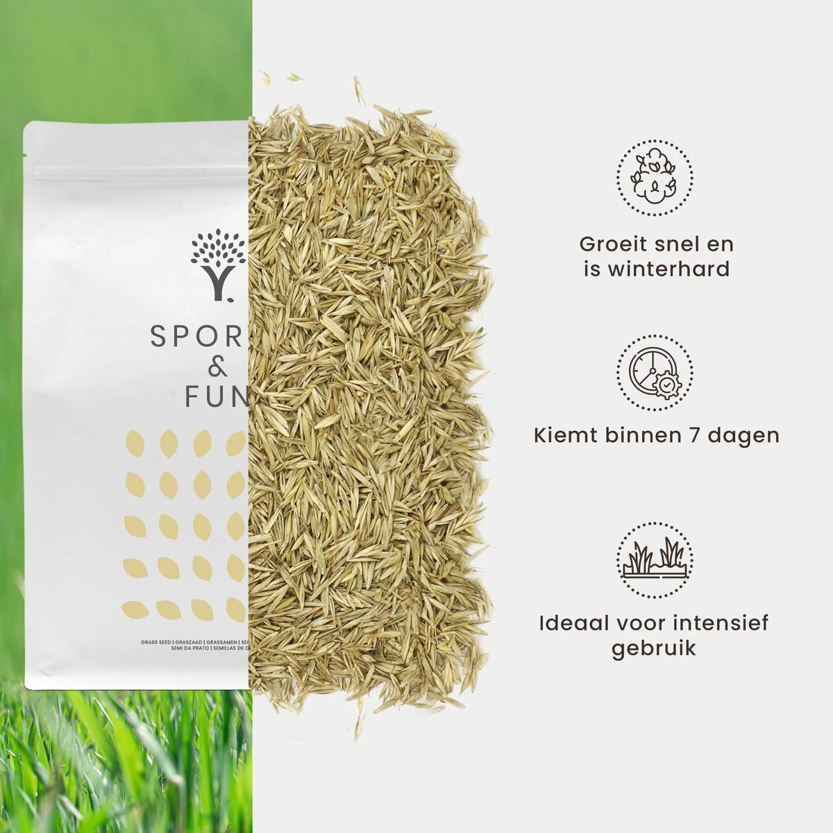 Speel en Sport Graszaad voor 50m² Gras | Bestendig tegen Intensief Gebruik | Gazon voor Sporten & Spelen Speel En Sport Graszaad Voor 50m² Gras | Bestendig Tegen Intensief Gebruik | Gazon Voor Sporten & Spelen -Tuinverzorgings Winkel 1200x1200 1496