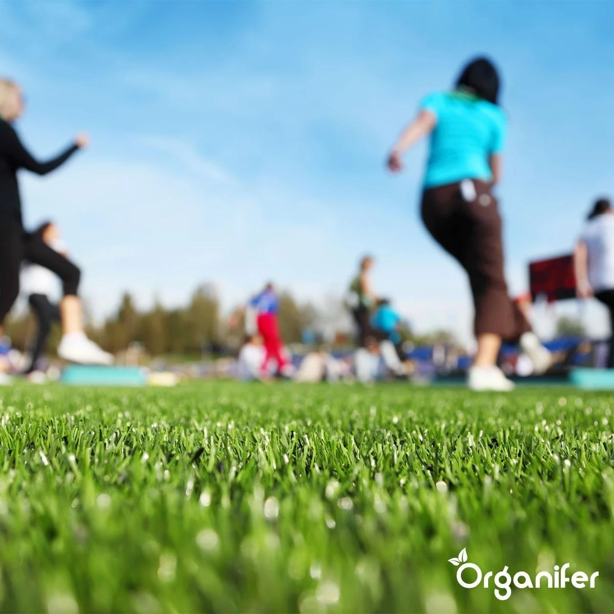 Herstelgazon Graszaad met grote kiemkracht – Fast Repair (5 Kg voor 250m2) Organifer Herstelgazon Graszaad Met Grote Kiemkracht – Fast Repair (5 Kg Voor 250m2) Organifer -Tuinverzorgings Winkel 1200x1200 1553