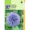 Hortitops Kogeldistel Blue Globe 2 Hortitops Kogeldistel Blue Globe -Tuinverzorgings Winkel 1200x1200 1560