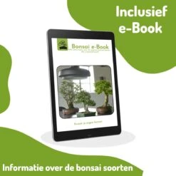 Bonsai Zaden 6 Soorten Incl. E-Book - Kweekset - Boompje In Pot - Kamerplanten – Kerstcadeau -Tuinverzorgings Winkel 1200x1200 1574