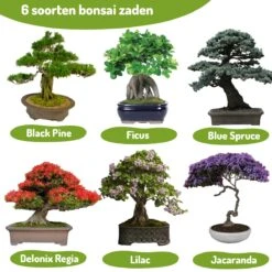 Bonsai Zaden 6 Soorten Incl. E-Book - Kweekset - Boompje In Pot - Kamerplanten – Kerstcadeau -Tuinverzorgings Winkel 1200x1200 1575