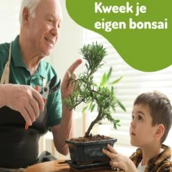 Bonsai Zaden 6 Soorten Incl. E-Book - Kweekset - Boompje In Pot - Kamerplanten – Kerstcadeau -Tuinverzorgings Winkel 1200x1200 1577