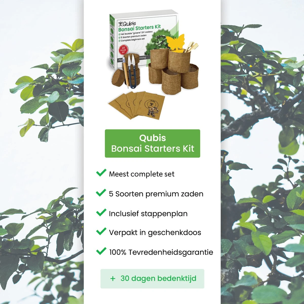 Qubis Bonsai Starters Kit - 23 Delige Kweekset - 5 Soorten Premium Zaden - DIY Pakket - Binnen Bonsai Boompje Kweken - Incl. Rouwvliegjes Vanger Qubis Bonsai Starters Kit - 23 Delige Kweekset - 5 Soorten Premium Zaden - DIY Pakket - Binnen Bonsai Boompje Kweken - Incl. Rouwvliegjes Vanger -Tuinverzorgings Winkel 1200x1200 1621