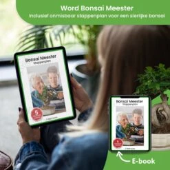 Qubis Bonsai Starters Kit - 23 Delige Kweekset - 5 Soorten Premium Zaden - DIY Pakket - Binnen Bonsai Boompje Kweken - Incl. Rouwvliegjes Vanger 6 Qubis Bonsai Starters Kit - 23 Delige Kweekset - 5 Soorten Premium Zaden - DIY Pakket - Binnen Bonsai Boompje Kweken - Incl. Rouwvliegjes Vanger -Tuinverzorgings Winkel 1200x1200 1623