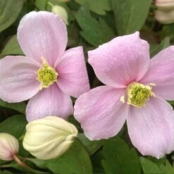 Tuinverzorgings Winkel -Tuinverzorgings Winkel 1200x1200 1632