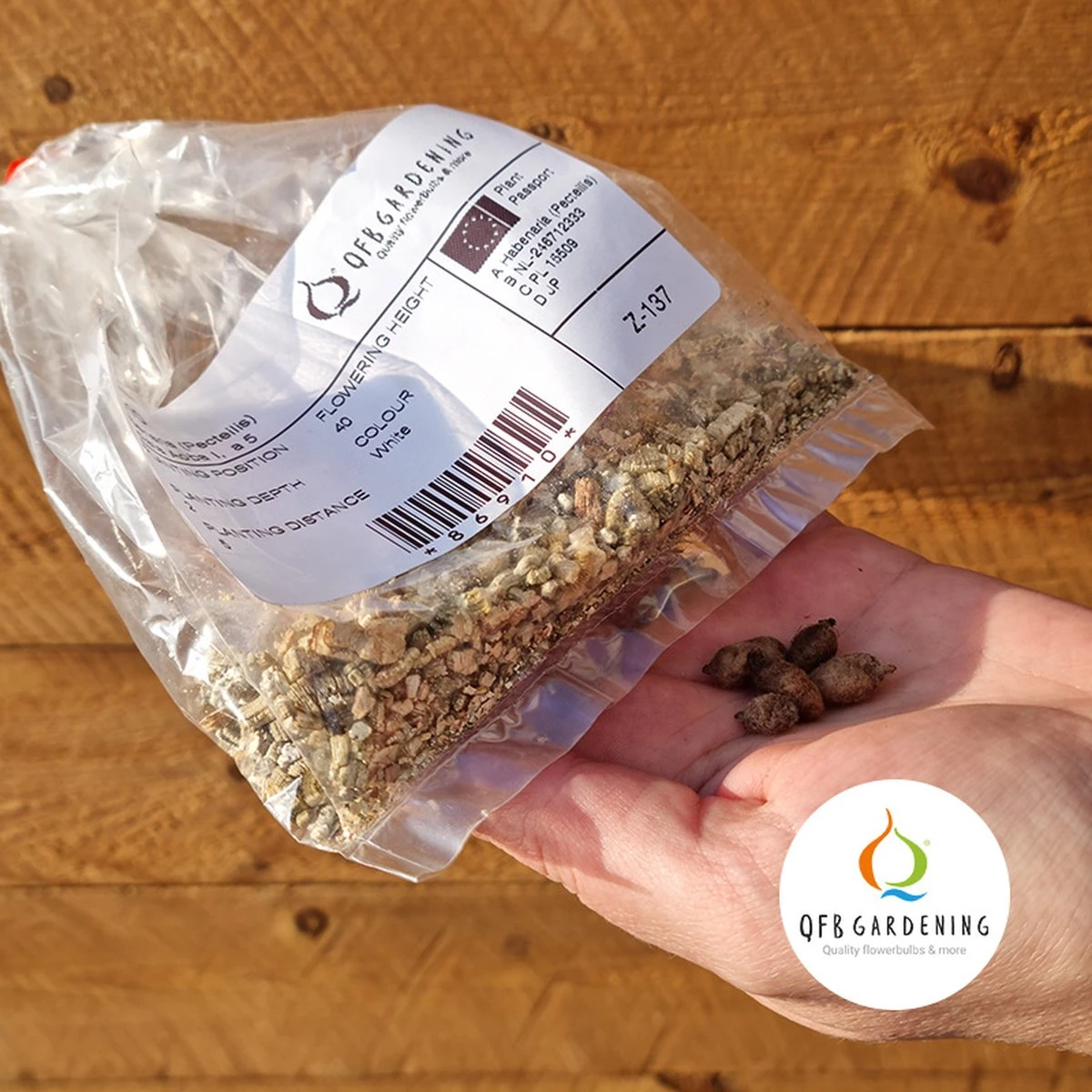 Habenaria Aoba | 5 stuks | Knol | Geschikt voor in Pot | Wit | Bijzondere Zomerbloeier | 100% Bloeigarantie | QFB Gardening Habenaria Aoba | 5 Stuks | Knol | Geschikt Voor In Pot | Wit | Bijzondere Zomerbloeier | 100% Bloeigarantie | QFB Gardening -Tuinverzorgings Winkel 1200x1200 1772