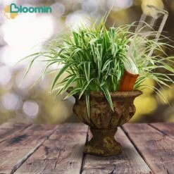 Bloomin Waterdruppelaar Van Terracotta - Waterdruppelaar Voor Planten - Druppelsysteem - Irrigatiesysteem - Watergeefsysteem - Bewateringssysteem - 8 Stuks -Tuinverzorgings Winkel 1200x1200 1876