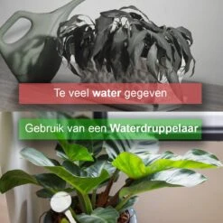 Waterdruppelaar Set Van 12 Stuks - Waterdruppelaar Voor Planten - Watergeefsysteem - Waterbol Irrigatiesysteem - Automatisch Druppelsysteem Voor Kamerplanten & Tuin - Watergever - Transparant - 15cm -Tuinverzorgings Winkel 1200x1200 1909