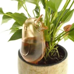 JS Drippy - Waterdruppelaars Set Van 2 Stuks - Druppelaar Vogel - Druppelsysteem Planten - Watergeefsysteem Kamerplanten - Waterbol - Roze -Tuinverzorgings Winkel 1200x1200 1911