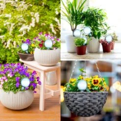 Druppelsysteem 12 Stuks Waterdruppelaar Voor Planten - Waterafgiftesysteem Voor 2 Weken - Beregening Voor Kamerplanten -Tuinverzorgings Winkel 1200x1200 1923