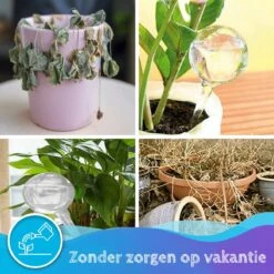 Summer Spark Waterdruppelaar Voor Planten 6 Stuks Transparant – 27 CM X 8 CM – 250 ML – Automatisch Watergeefsysteem Voor Kamerplanten – Planten Watergever Met Druppelsysteem – Waterbol -Tuinverzorgings Winkel 1200x1200 1930