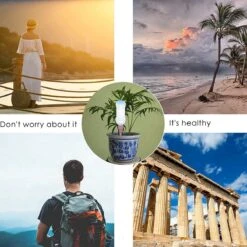 BOTC Waterdruppelaar Set Van 6 Stuks Voor Planten - Watergeefsysteem -Tuinverzorgings Winkel 1200x1200 1956