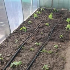 Druppelslang Actiepakket 100 Meter - Leidingshop -Tuinverzorgings Winkel 1200x1200 1958