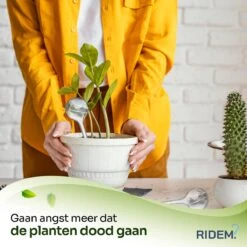 Waterdruppelaar Voor Planten - Irrigatiesysteem- Waterbol - Druppelsysteem - Watergeefsysteem Voor Kamerplanten - Plantenwatergever -6 Stuks - Transparant -Tuinverzorgings Winkel 1200x1200 1959