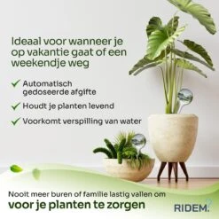 Waterdruppelaar Voor Planten - Irrigatiesysteem- Waterbol - Druppelsysteem - Watergeefsysteem Voor Kamerplanten - Plantenwatergever -6 Stuks - Transparant -Tuinverzorgings Winkel 1200x1200 1961