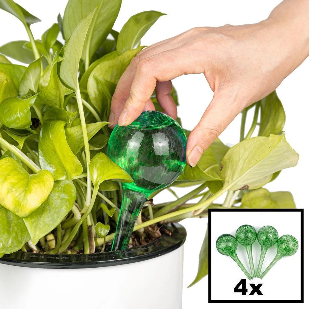 Decopatent® 4 Stuks - Waterdruppelaar voor Planten - Watergever - Glas - Waterbollen - Watergeefsysteem - Plantenbollen - Groen Merkloos Decopatent® 4 Stuks - Waterdruppelaar Voor Planten - Watergever - Glas - Waterbollen - Watergeefsysteem - Plantenbollen - Groen -Tuinverzorgings Winkel 1200x1200 1963
