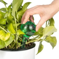 Merkloos Decopatent® 4 Stuks - Waterdruppelaar Voor Planten - Watergever - Glas - Waterbollen - Watergeefsysteem - Plantenbollen - Groen 11 Merkloos Decopatent® 4 Stuks - Waterdruppelaar Voor Planten - Watergever - Glas - Waterbollen - Watergeefsysteem - Plantenbollen - Groen -Tuinverzorgings Winkel 1200x1200 1965