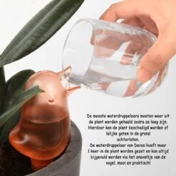Waterdruppelaar Voor Planten 2 Stuks - Waterbol Kamerplanten - Automatisch Watergeefsysteem - Vogel - Roze -Tuinverzorgings Winkel 1200x1200 1971