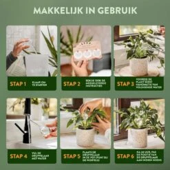 STFF & Co® Waterdruppelaar Voor Planten – Irrigatiesysteem Automatisch Watergeefsysteem – Waterbollen Voor Planten – Bewateringssysteem – 8 Stuks - 5cm -Tuinverzorgings Winkel 1200x1200 1994