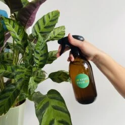 Groeikruid® Plantenspuit | 500 Ml Amber Glas | Met Zwarte Spraykop | Plantensproeier Binnen | Waterverstuiver | Verstuiver | Waterspuit -Tuinverzorgings Winkel 1200x1200 2059