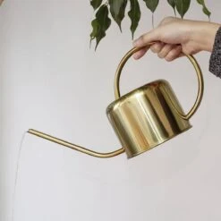 Kikkerland Vintage Gieter - Plantengieter Voor Binnen - Goud - 1,2L - Retro - Metaal -Tuinverzorgings Winkel 1200x1200 2236