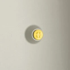 Elho Vivo Structure Finish Lang 90 - Plantenbak Voor Binnen & Buiten - Ø 88 X H 41 - Wit -Tuinverzorgings Winkel 1200x1200 2287