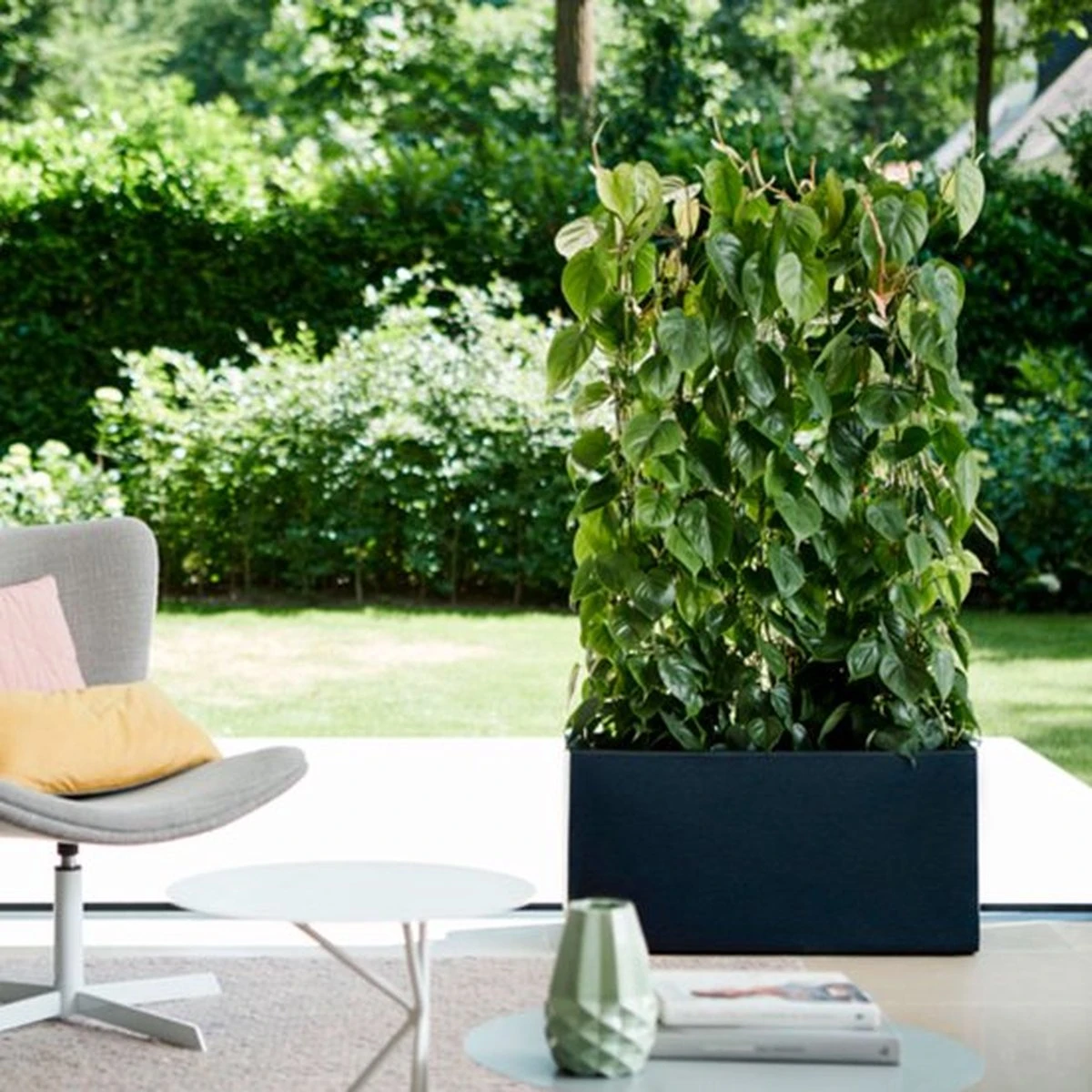 Elho Vivo Matt Finish Lang Wielen 90 - Grote Staande Plantenbak voor Binnen & Buiten - Gemaakt van Gereycled Plastic - L 39 x W 88 x H 41 cm - Zwart Elho Vivo Matt Finish Lang Wielen 90 - Grote Staande Plantenbak Voor Binnen & Buiten - Gemaakt Van Gereycled Plastic - L 39 X W 88 X H 41 Cm - Zwart -Tuinverzorgings Winkel 1200x1200 2298