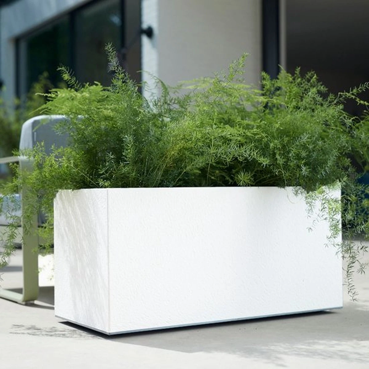 Elho Vivo Matt Finish Lang Wielen 90 - Grote Staande Plantenbak voor Binnen & Buiten - Gemaakt van Gereycled Plastic - L 39 x W 88 x H 41 cm - Wit Elho Vivo Matt Finish Lang Wielen 90 - Grote Staande Plantenbak Voor Binnen & Buiten - Gemaakt Van Gereycled Plastic - L 39 X W 88 X H 41 Cm - Wit -Tuinverzorgings Winkel 1200x1200 2301