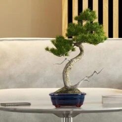 Happy Seed Keramieken Bonsai Pot (schaal) - Marine Blauw - Geglazuurd 3 Happy Seed Keramieken Bonsai Pot (schaal) - Marine Blauw - Geglazuurd -Tuinverzorgings Winkel 1200x1200 2326