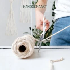 Gadgy Plantenhanger Macramé 3 Stuks - Luxe Gevlochten Touw Katoen - Plantenpot Ophangen - Hangpot -Tuinverzorgings Winkel 1200x1200 2330