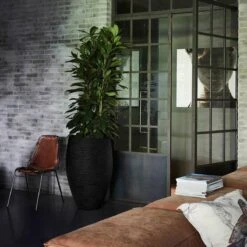 Capi Europe - Vaas Elegant Deluxe Rib NL - 45x72 - Zwart - Voor Binnen En Buiten - KBLR1138 4 Capi Europe - Vaas Elegant Deluxe Rib NL - 45x72 - Zwart - Voor Binnen En Buiten - KBLR1138 -Tuinverzorgings Winkel 1200x1200 2350