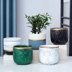 Bloempotten Binnen - Keramiek - Gouden Rand - Bloempot Buiten - Afvoergat 24 Cm - Groen – Groot -Tuinverzorgings Winkel 1200x1200 2360