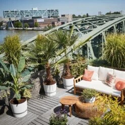 Elho Greenville Rond 30 - Grote Bloempot Voor Buiten - Gemaakt Van Gereycled Plastic - Ø 29.5 X H 27.8 Cm - Living Black -Tuinverzorgings Winkel 1200x1200 2365