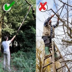 Iceberk Snoeischaar + Snoeizaag (1,45 - 3,70 M) - Telescopische Snoeischaar Voor Het Snoeien Van Bomen En Dichte Struiken Zonder Ladder -Tuinverzorgings Winkel 1200x1200 238