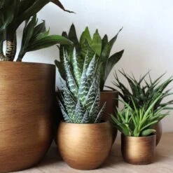 Capi Europe - Vaas Bol Retro - 30x25 - Goud - Bloempot Voor Binnen - BRTG104 -Tuinverzorgings Winkel 1200x1200 2390