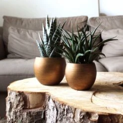 Capi Europe - Vaas Bol Retro - 30x25 - Goud - Bloempot Voor Binnen - BRTG104 -Tuinverzorgings Winkel 1200x1200 2391