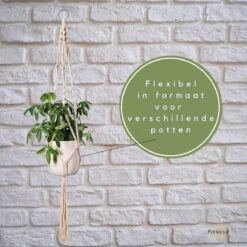 Plantenhanger - Plantenhanger Macrame - Set Van 2 - Wit - Knopen - Luxe Gevlochten Touw - Met Ophang Haken - Fienosa -Tuinverzorgings Winkel 1200x1200 2400