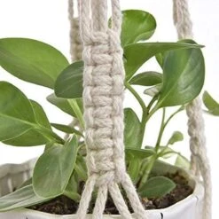 4 Stuks Plantenhangers - Boho Handgeweven Katoen Hangpot Voor Binnen/Buiten - Bloempot Met Kralen - Macramé Touw/Koord Hangplant Houder - Bohemian Wandhanger Decoratie - Verticale Tuin Plant Hanger Bloempothouder Planthanger Wit -Tuinverzorgings Winkel 1200x1200 2406