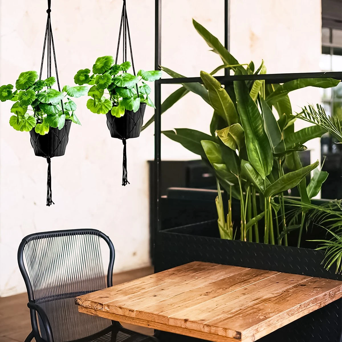 9 Stuks Zwart Macrame Plantenhangers - Boho Handgeweven Katoen Hangpot voor Binnen/Buiten - Hangende Bloempot met Kralen - Macramé Touw/Koord Hangplant Houder - Bohemian Wandhanger Decoratie - Plant Hanger - Verticale Tuin Bloempothouder Planthanger 9 Stuks Zwart Macrame Plantenhangers - Boho Handgeweven Katoen Hangpot Voor Binnen/Buiten - Hangende Bloempot Met Kralen - Macramé Touw/Koord Hangplant Houder - Bohemian Wandhanger Decoratie - Plant Hanger - Verticale Tuin Bloempothouder Planthanger -Tuinverzorgings Winkel 1200x1200 2409
