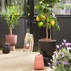 Elho Pure Coupe 35 - Bloempot Voor Binnen & Buiten - Ø 34.9 X H 49.0 Cm - Zwart/Zwart -Tuinverzorgings Winkel 1200x1200 2423