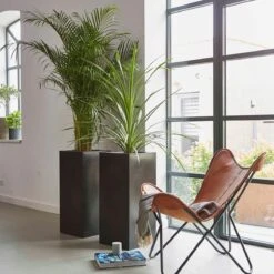 Capi Europe - Bloempot Rechthoek Smooth NL - 36x36x79 - Zwart - Voor Binnen En Buiten - KBL952 6 Capi Europe - Bloempot Rechthoek Smooth NL - 36x36x79 - Zwart - Voor Binnen En Buiten - KBL952 -Tuinverzorgings Winkel 1200x1200 2425