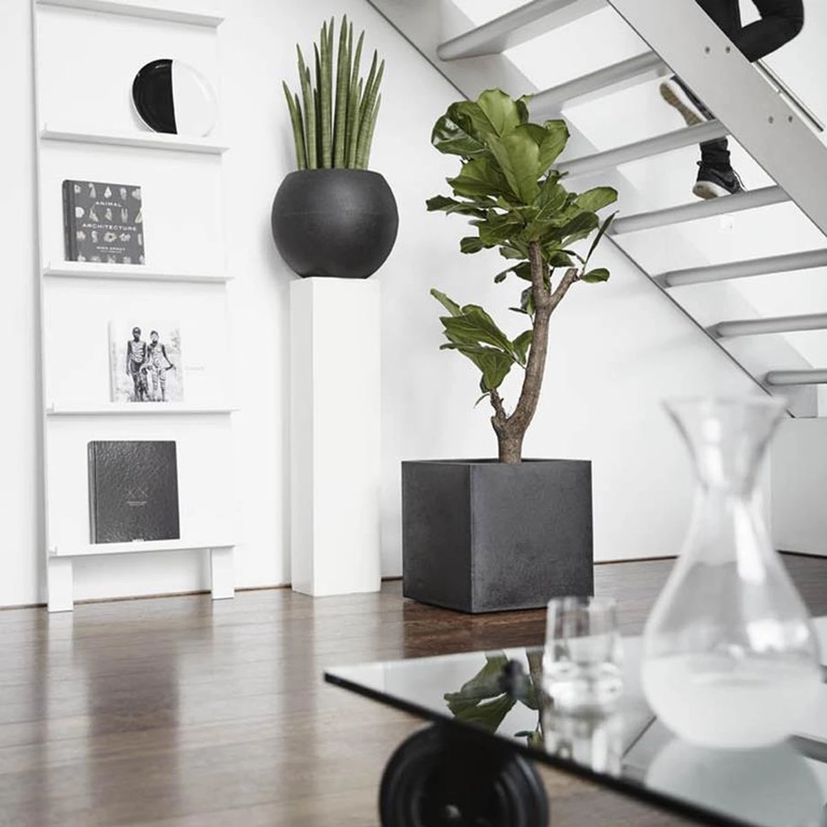 Capi Europe - Bloempot vierkant Smooth NL - 50x50x50 - Zwart - Voor binnen en buiten - KBL904 Capi Europe - Bloempot Vierkant Smooth NL - 50x50x50 - Zwart - Voor Binnen En Buiten - KBL904 -Tuinverzorgings Winkel 1200x1200 2447