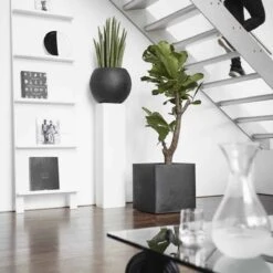 Capi Europe - Bloempot Vierkant Smooth NL - 50x50x50 - Zwart - Voor Binnen En Buiten - KBL904 21 Capi Europe - Bloempot Vierkant Smooth NL - 50x50x50 - Zwart - Voor Binnen En Buiten - KBL904 -Tuinverzorgings Winkel 1200x1200 2455