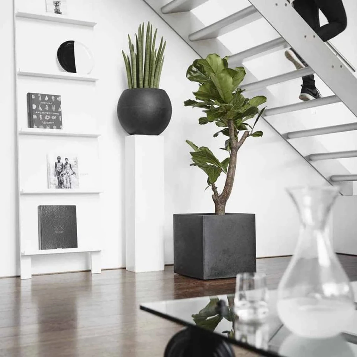 Capi Europe - Bloempot vierkant Smooth NL - 50x50x50 - Zwart - Voor binnen en buiten - KBL904 Capi Europe - Bloempot Vierkant Smooth NL - 50x50x50 - Zwart - Voor Binnen En Buiten - KBL904 -Tuinverzorgings Winkel 1200x1200 2455