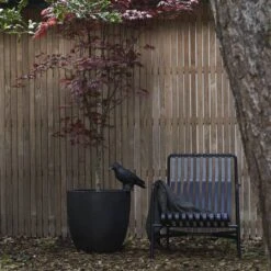 Capi Europe - Bloempot Bol Smooth NL - 54x52 - Zwart - Voor Binnen En Buiten - KBL935 -Tuinverzorgings Winkel 1200x1200 2463