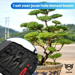 Good2know Bonsai Gereedschap Set – 16 Delig – Bonsai Starters Kit – Bonsai Boompje Verzorgingskit - Tuingereedschap -Tuinverzorgings Winkel 1200x1200 30