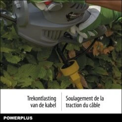 Powerplus POWEG40100 Elektrische Heggenschaar - 550W - Snoeien En Knippen - Zwaardlengte 560mm - Mesafstand 16mm - Haagschaar Voor Tuinonderhoud 5 Powerplus POWEG40100 Elektrische Heggenschaar - 550W - Snoeien En Knippen - Zwaardlengte 560mm - Mesafstand 16mm - Haagschaar Voor Tuinonderhoud -Tuinverzorgings Winkel 1200x1200 304